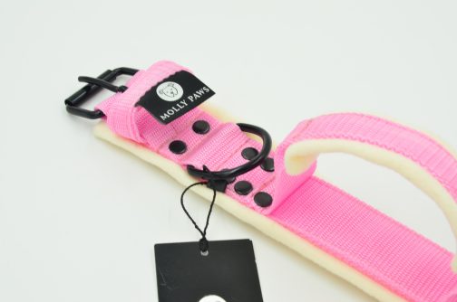 DSC_0091 Obroża z Polarem i Uchwytem o szerokości 4cm