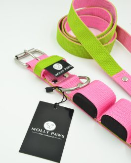 Obroża szer. 4cm z Obciążeniem Kontrastowa