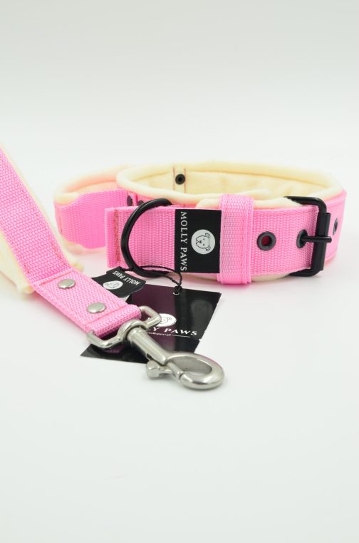 DSC_0102 Lekka Obroża z uchwytem haftem i polarem