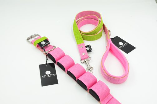 DSC_0108 Obroża szer. 4cm z Obciążeniem Kontrastowa