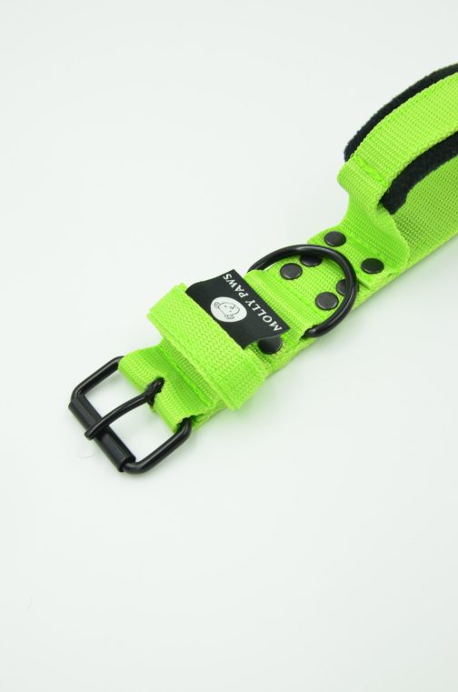 Obroża lekka z Uchwytem o szerokości 4cm