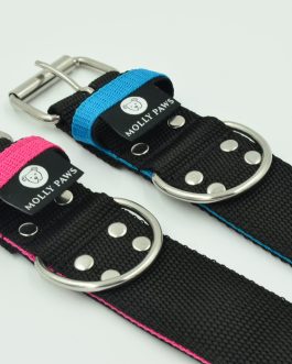 Obroża o szerokości 5cm DWUKOLOROWA