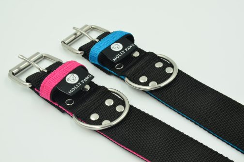 DSC_0148 Obroża o szerokości 4cm DWUKOLOROWA STAL NIERDZEWNA-POLECANE