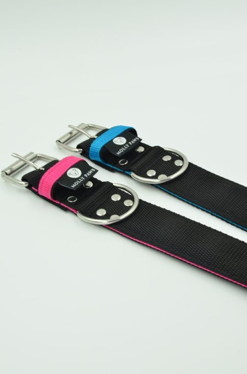 DSC_0150 Obroża o szerokości 5cm DWUKOLOROWA