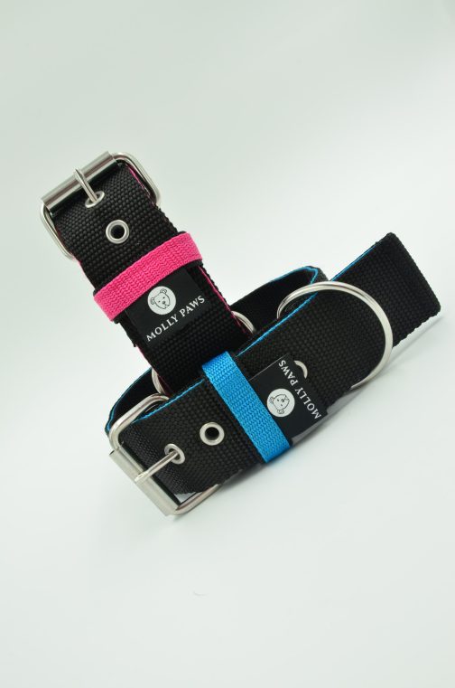 DSC_0156 Obroża o szerokości 4cm DWUKOLOROWA STAL NIERDZEWNA-POLECANE