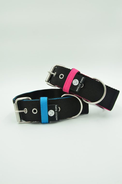 DSC_0158 Obroża o szerokości 4cm DWUKOLOROWA STAL NIERDZEWNA-POLECANE