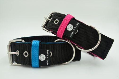 DSC_0163 Obroża o szerokości 4cm DWUKOLOROWA STAL NIERDZEWNA-POLECANE