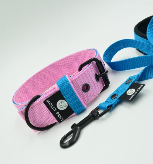 Obroża DWUKOLOROWA Lekka o szerokości 4cm