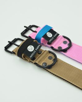 Obroża DWUKOLOROWA Lekka o szerokości 4cm