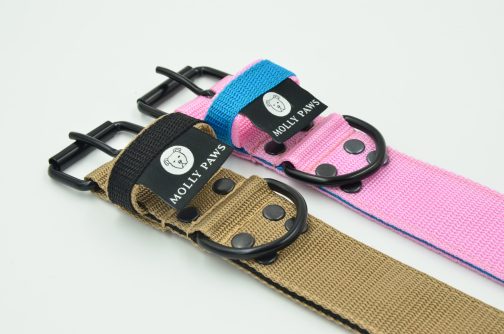 Obroża DWUKOLOROWA Lekka o szerokości 4cm