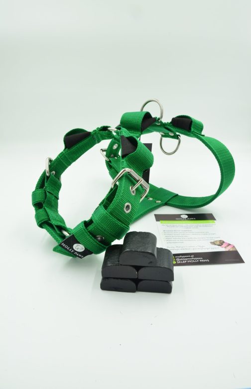 Szelki o szerokości 4cm z obciążeniem