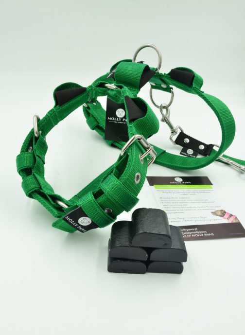 Szelki o szerokości 4cm z obciążeniem