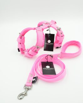 Zestaw Szelki Z Polarem o szerokości 2,5cm oraz smycz z rączką