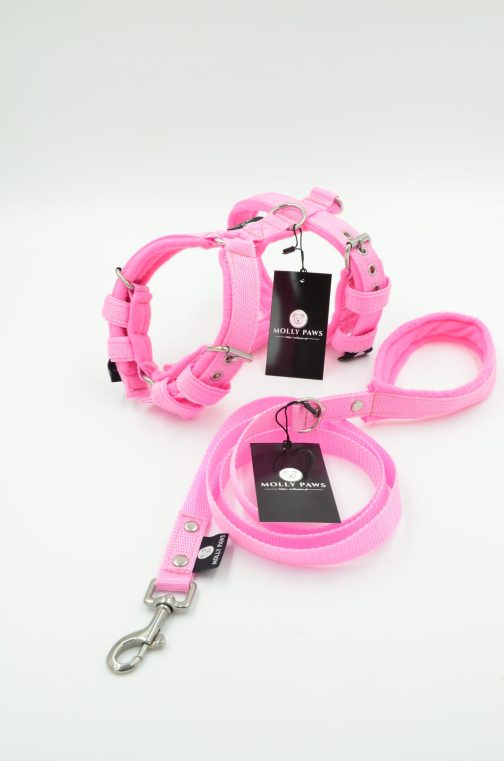 DSC_0297 Smycz z rączką STAL NIERDZEWNA - POLECANE