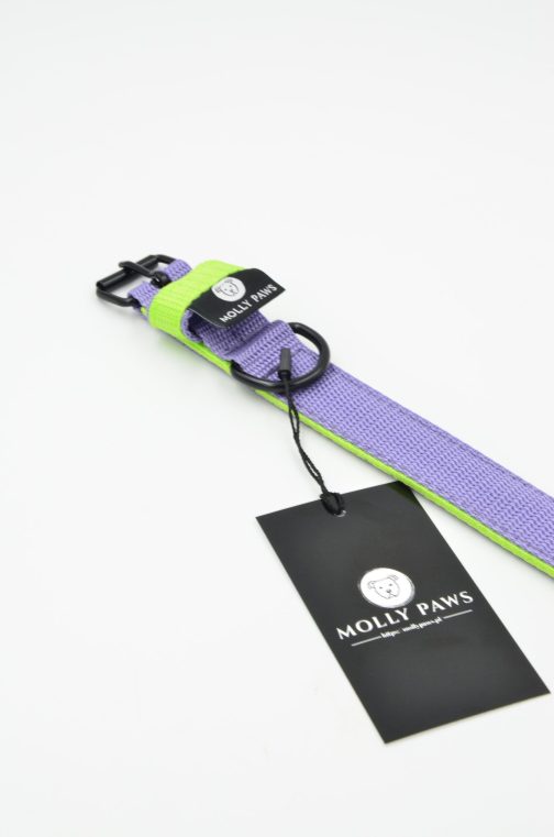 Lekka Kolorowa Obroża o szer. 2.5cm