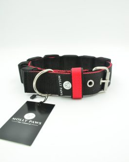 DSC_0438 Obroża szer. 5cm z Obciążeniem Dwukolorowa