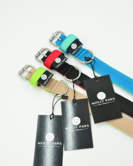 DSC_0452 Kolorowa Obroża o szer. 2cm STAL NIERDZEWNA- POLECANE