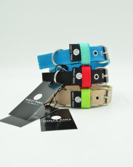 DSC_0456 Kolorowa Obroża o szer. 2.5cm z haftem STAL NIERDZEWNA - POLECANE