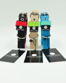 DSC_0470 Kolorowa Obroża o szer.2.5cm STAL NIERDZEWNA - POLECANE