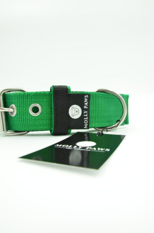 DSC_0506 Obroża szer. 4cm z Obciążeniem Kontrastowa