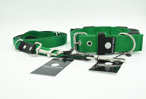 DSC_0529 Obroża szer. 4cm z Obciążeniem Kontrastowa