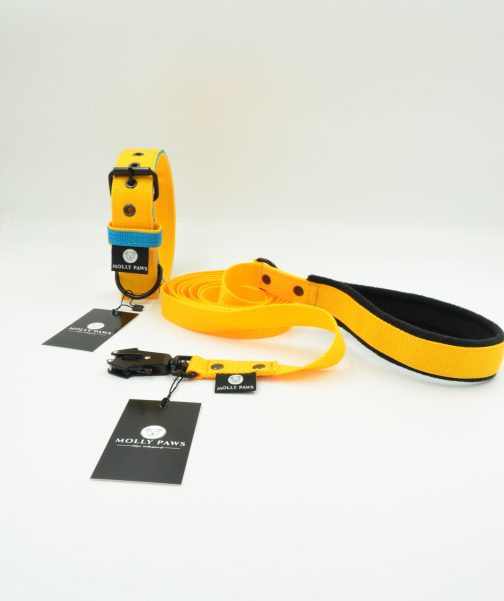 DSC_0705 Obroża DWUKOLOROWA Lekka o szer. 4cm Z Haftem