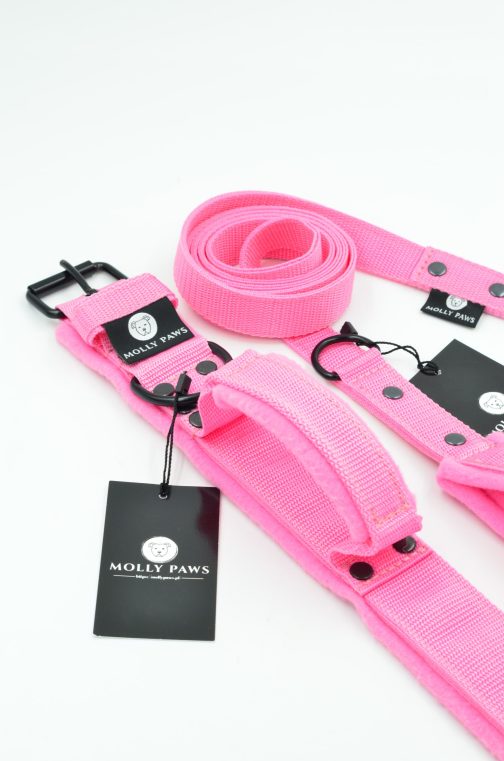 DSC_0710 Obroża z Polarem i Uchwytem o szerokości 4cm