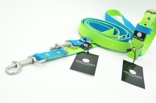 DSC_0728 Zestaw Kolorowy Smycz Przepinana oraz Obroża