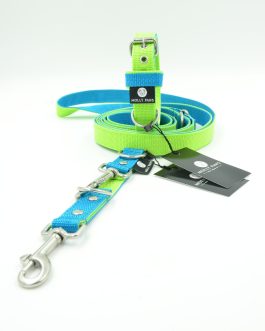 DSC_0736 Zestaw Kolorowy Smycz Przepinana oraz Obroża