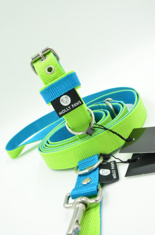 DSC_0737 Zestaw Kolorowy Smycz Przepinana oraz Obroża