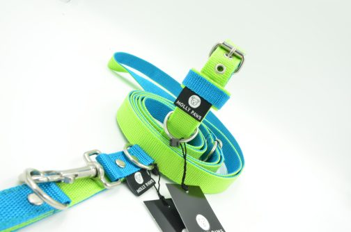 DSC_0740 Zestaw Kolorowy Smycz Przepinana oraz Obroża