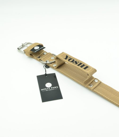 DSC_0781 Obroża z Uchwytem o szer. 5cm i haft STAL NIERDZEWNA- POLECANE