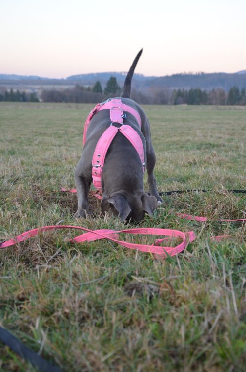 Linka z gumy do treningu