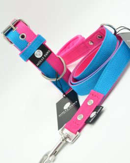 DSC_0880 Zestaw Dwukolorowy Obroża i Smycz