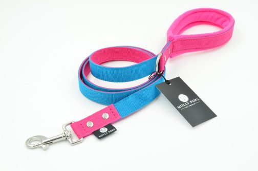 DSC_0888 Zestaw Dwukolorowy Obroża i Smycz