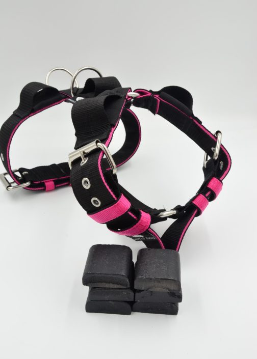 Szelki o szerokości 4cm z obciążeniem