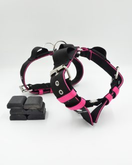 DSC_1067 Szelki o szerokości 5cm z obciążeniem