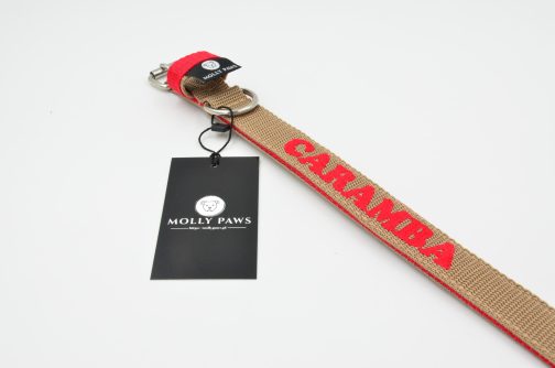 Kolorowa Obroża o szer. 3cm z haftem STAL NIERDZEWNA - POLECANE