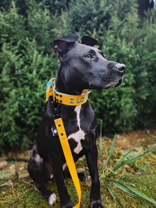 Smycz z karabińczykiem taktycznym 2.5cm