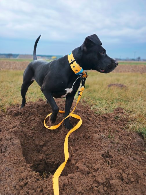 Smycz z karabińczykiem taktycznym 2.5cm