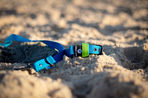 Lekka Kolorowa Obroża o szer. 2.5cm