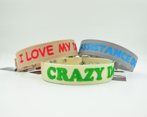 DSC_0249 Zestaw Dwukolorowy Obroża Z Haftem i Smycz Przepinana