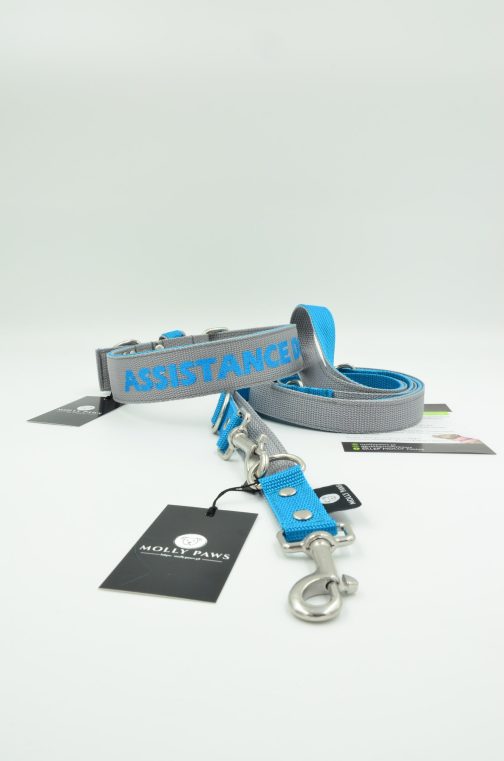 DSC_0271 Zestaw Dwukolorowy Obroża Z Haftem i Smycz Przepinana