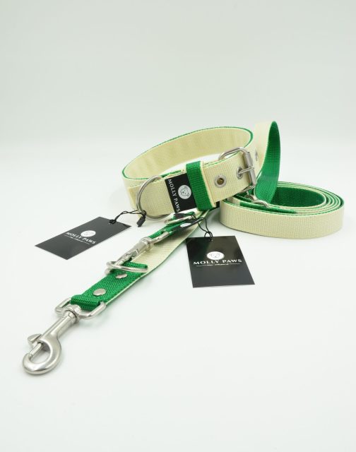 DSC_0290 Zestaw Dwukolorowy Obroża Z Haftem i Smycz Przepinana