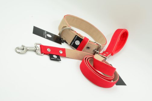 Zestaw Dwukolorowy Obroża Z Haftem i Smycz