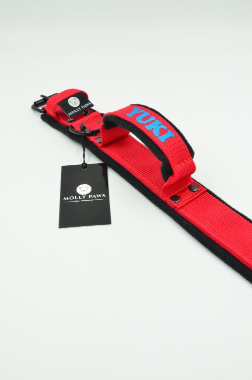 DSC_0449 Lekka Obroża z uchwytem haftem i polarem