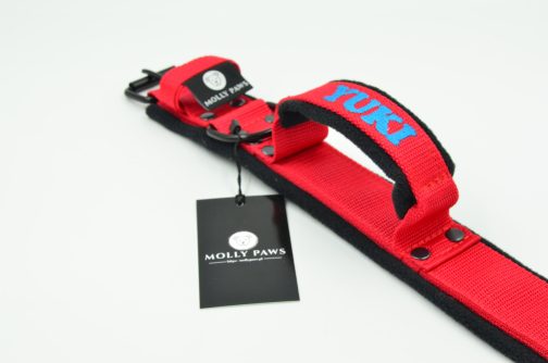 DSC_0450 Lekka Obroża z uchwytem haftem i polarem