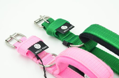 Obroża z Uchwytem o szer. 2.5 STAL NIERDZEWNA - POLECANE