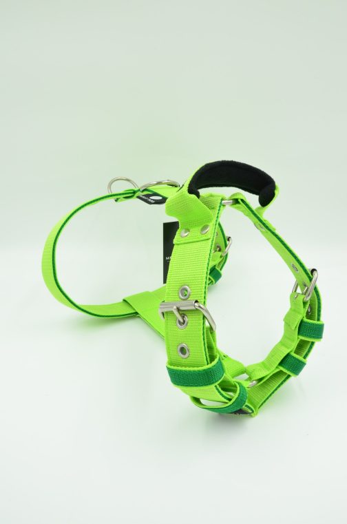 Szelki o szer.4cm Dwukolorowe STAL NIERDZEWNA - POLECANE