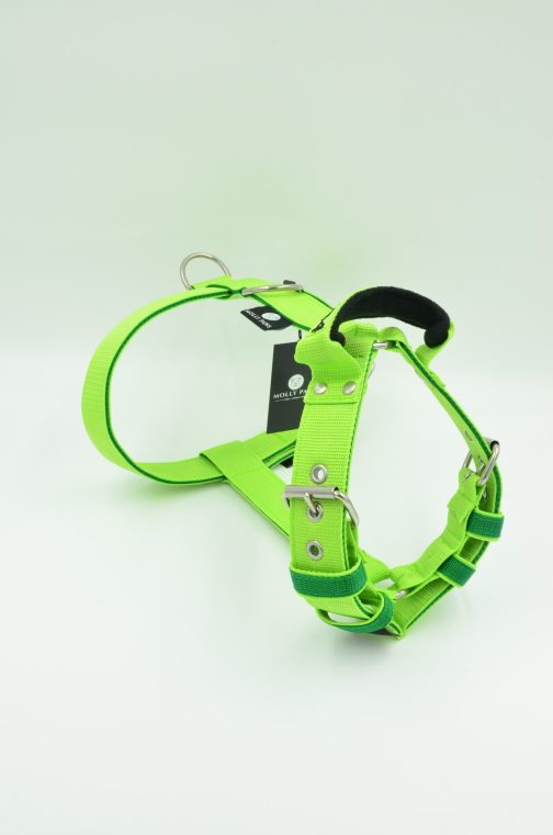 Szelki o szer.4cm Dwukolorowe STAL NIERDZEWNA - POLECANE